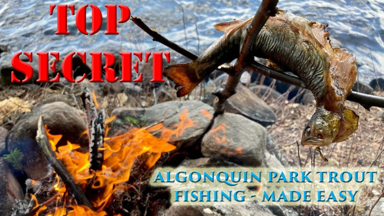 The SECRETS to Finding Algonquin Park Trout - A Complete How To Fishing Guide