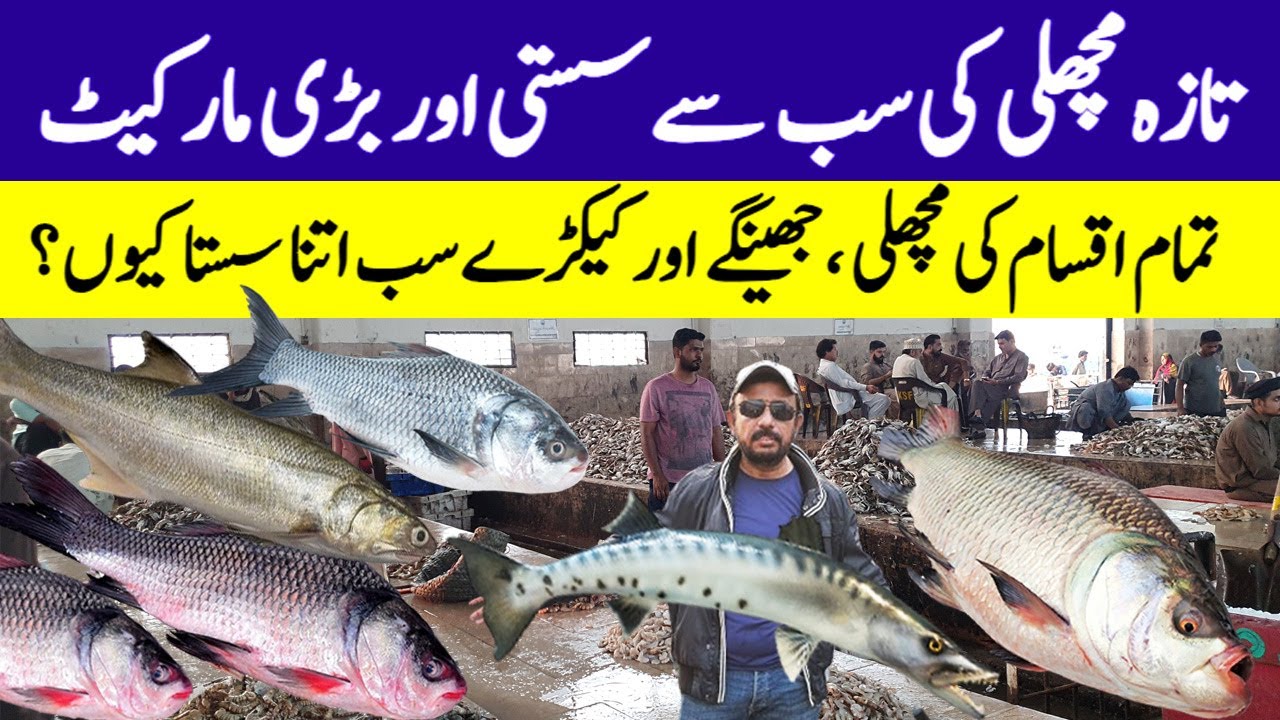 Biggest Fish Market in Karachi - Pakistan's Biggest Fish Market Fishery - Fishery Wholesale Market.