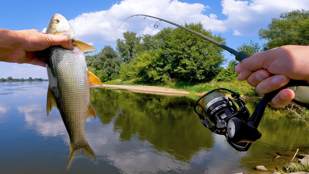 OKONIE i PRZYŁOWY - ŁOWIĘ na RZECE na SPINNING - WĘDKARSTWO 2022
