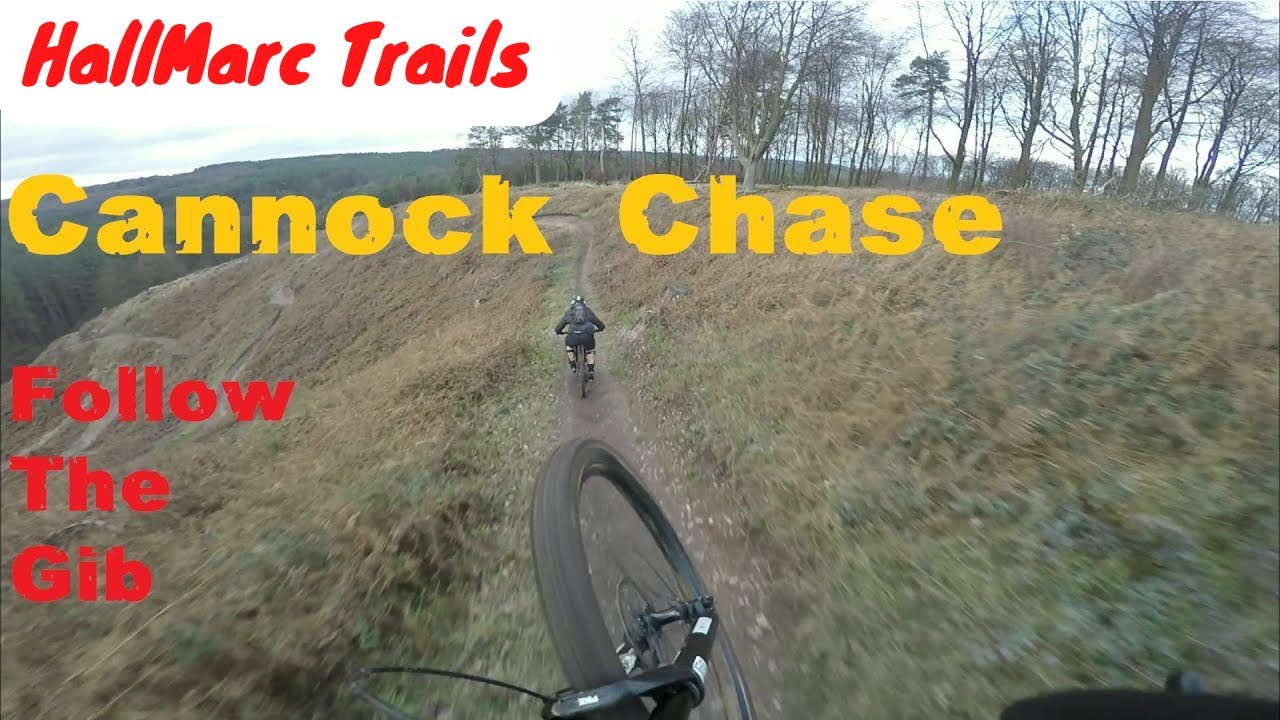 Cannock Chase - Follow The Gib, Helmet Cam / Gimbal, MTB