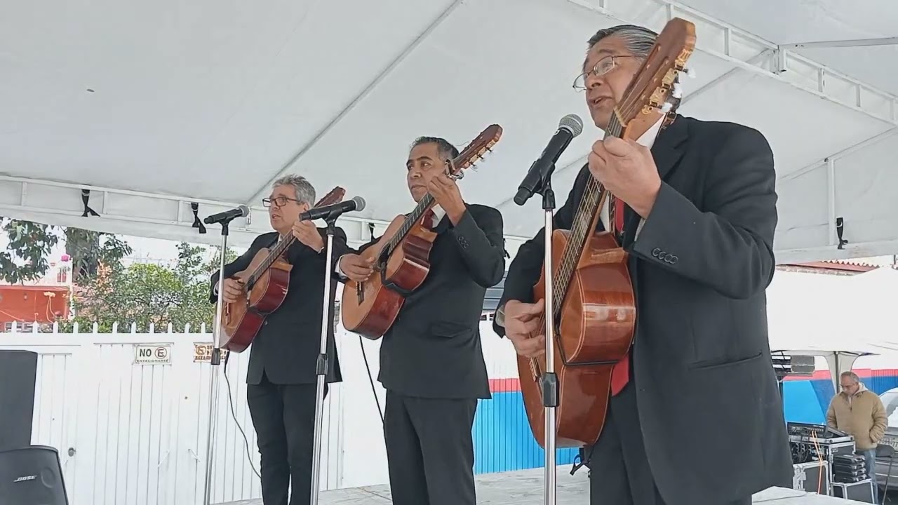 Mi corazón es un gitano - Rondalla Ilusión Bohemia Querétaro