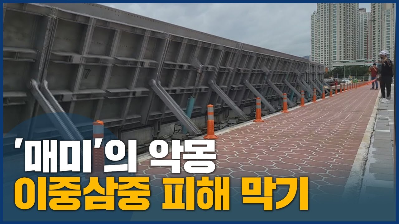 '매미 '악몽 마산 해안가, 피해 막아라