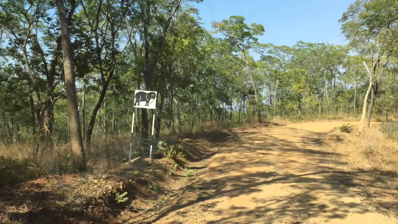 Mozambique: An Ordinary Day for a Non-Ordinary Family