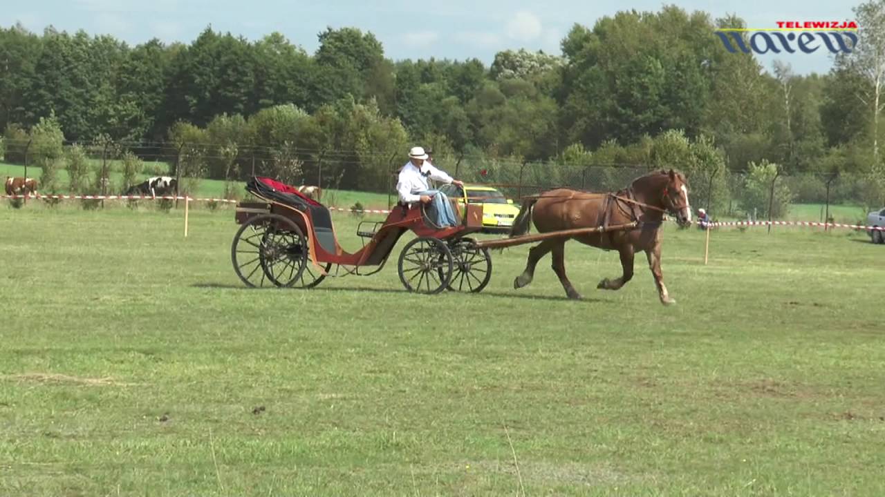 Podlaskie Zawody Powożenia Zaprzegami Konnymi