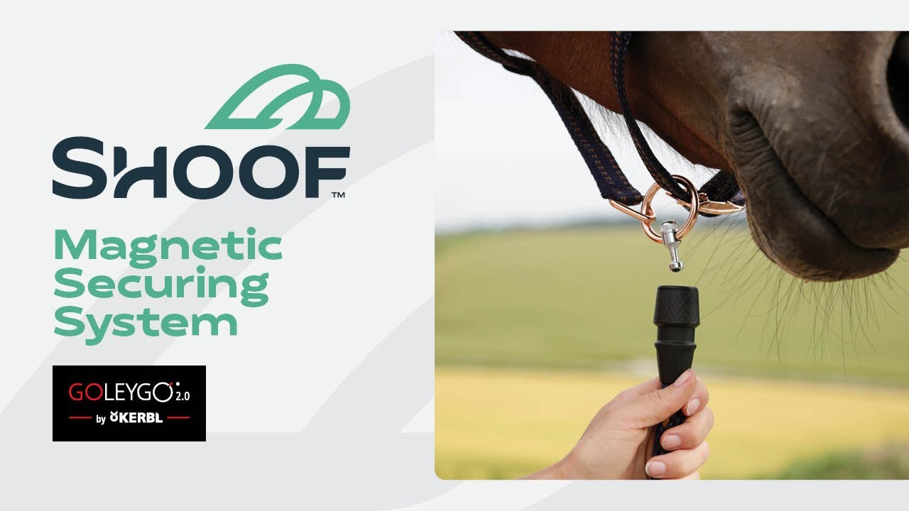 Goleygo 2.0 Horse: Magnetic Securing System