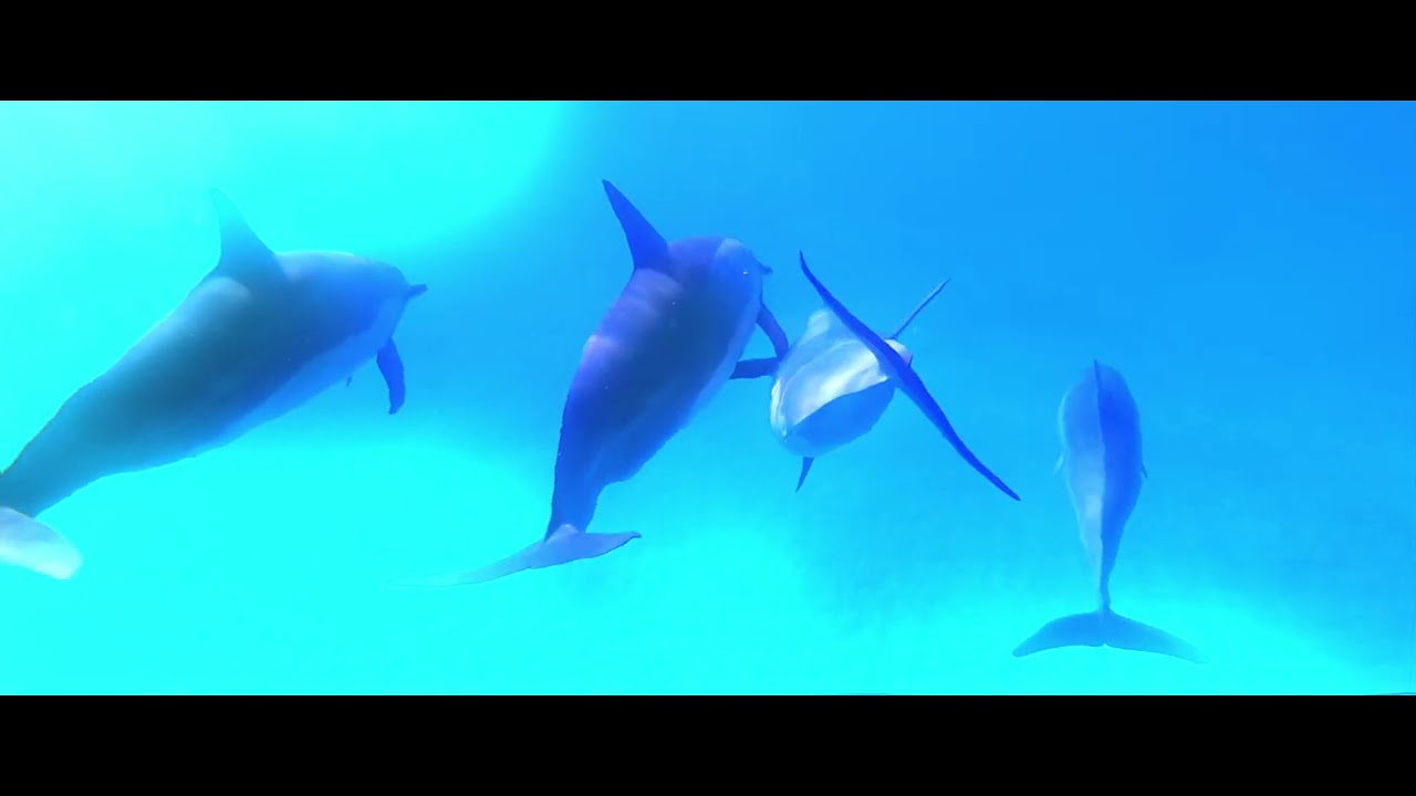 Work in Progress - Seasky - ID2