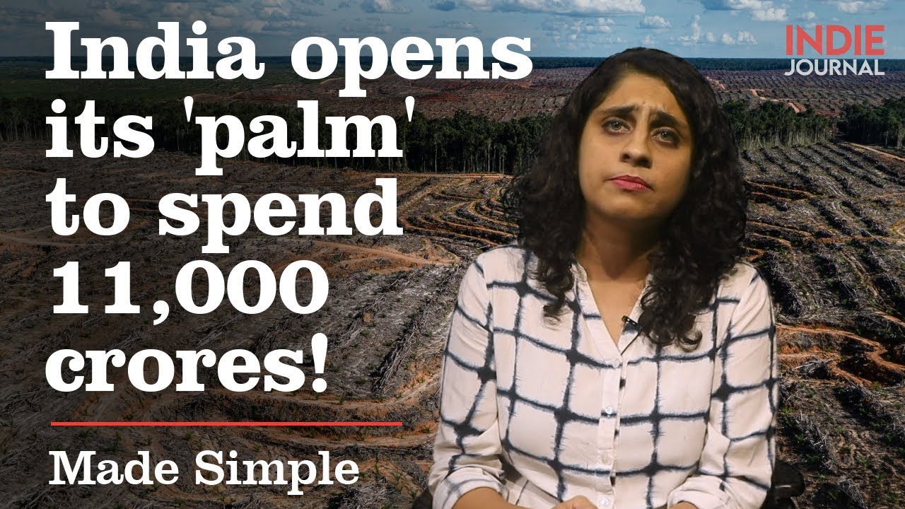 India's new 'Domestic Palm Oil' incentivisation policy | Made Simple | Indie Journal