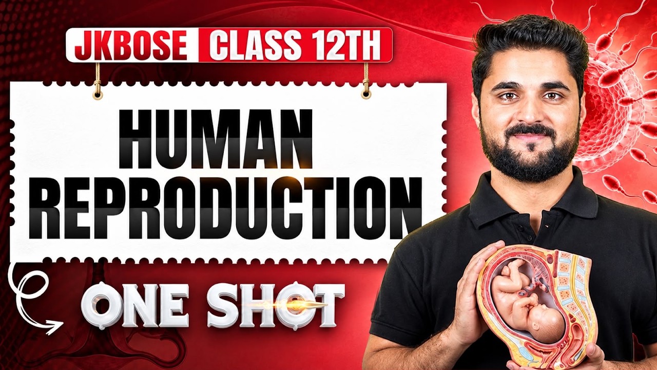 JKBOSE Class 12th Zoology | Human Reproduction 🔥 | One Shot | Davood Sir