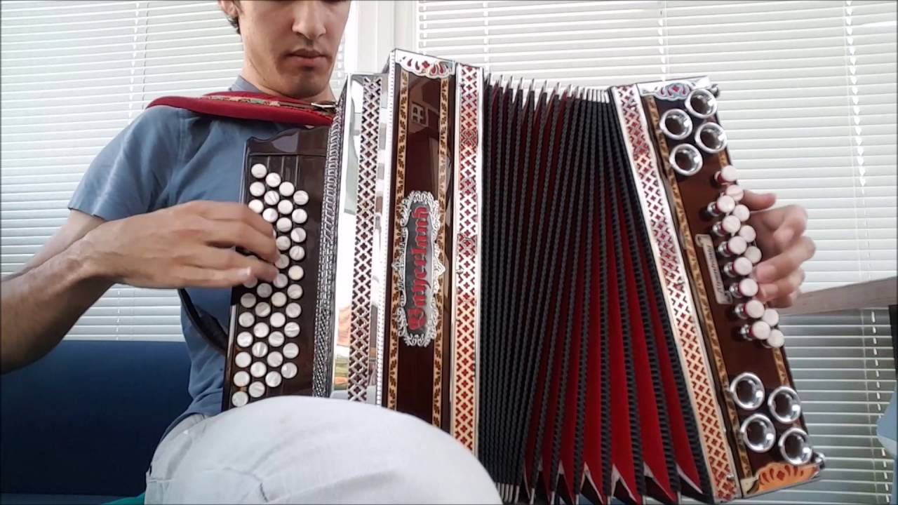 Zwiefache Folge 2 - Steirische Harmonika