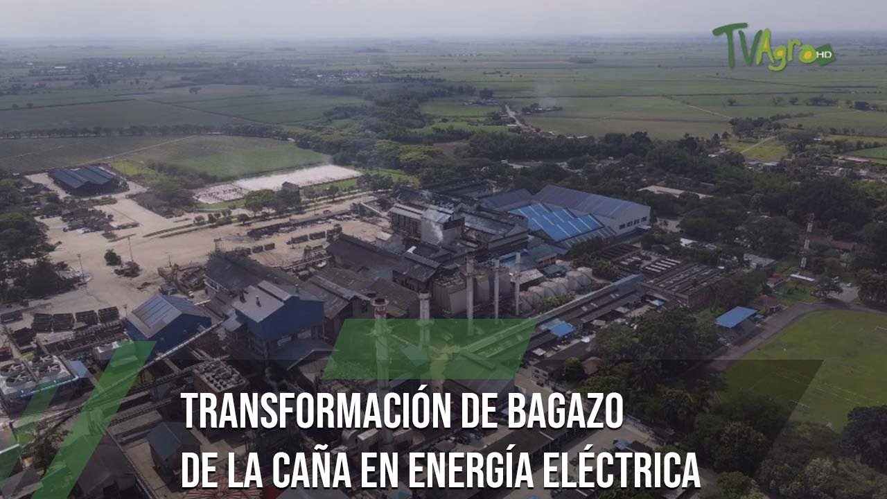 Transformación de bagazo de la caña en energía eléctrica - TvAgro por Juan Gonzalo Angel Restrepo