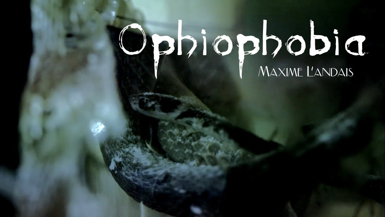 La phobie des serpents - OPHIOPHOBIA 🎬 Documentaire
