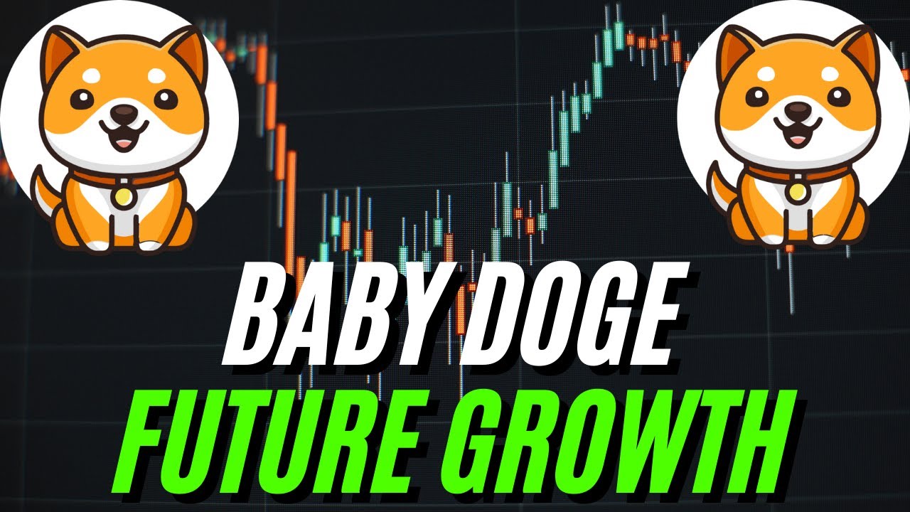 ATTENTION BABY DOGE COIN HOLDERS: PATIENCE IS KEY & HERES WHY!