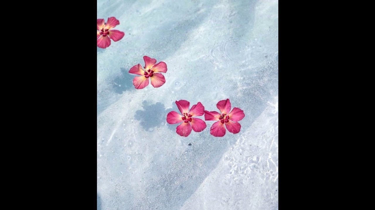 [FREE] Acoustic Guitar Kid Laroi Toosii Pop Type Beat 