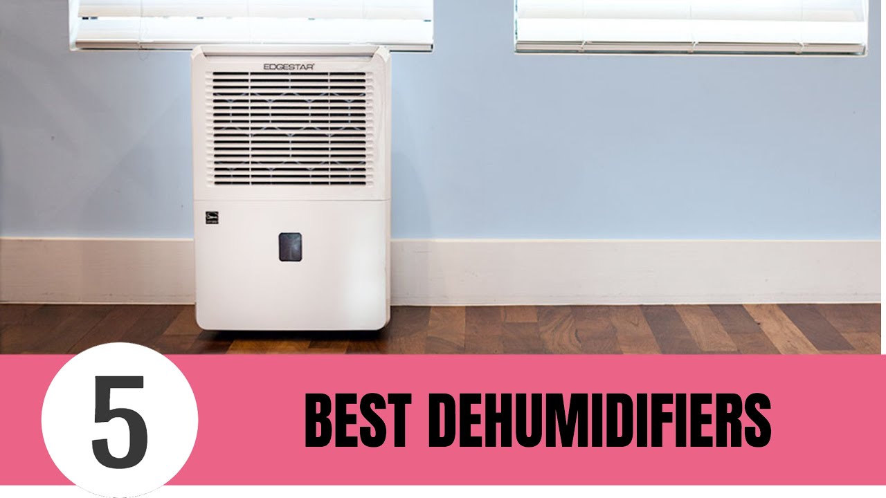 5 Best Mirrorless Cameras of 2020