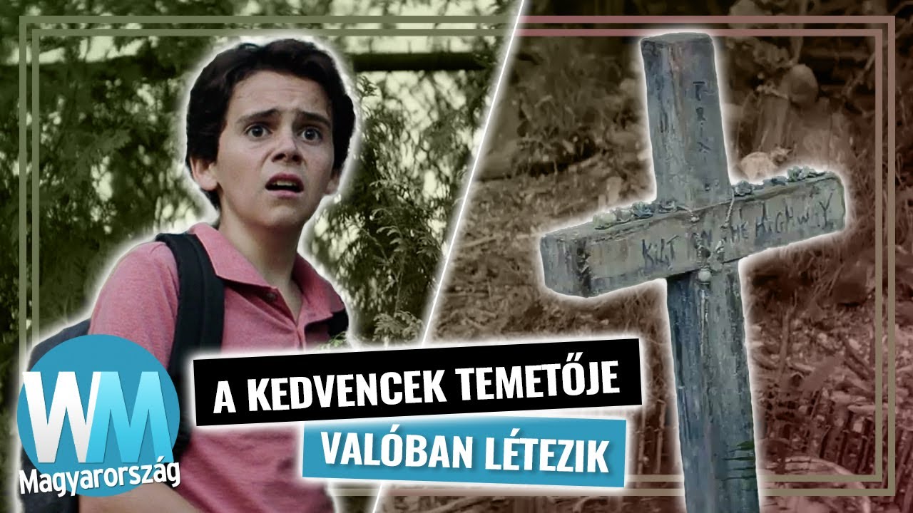 Top 10 ijesztő dolog, amit egy erdőben találtak