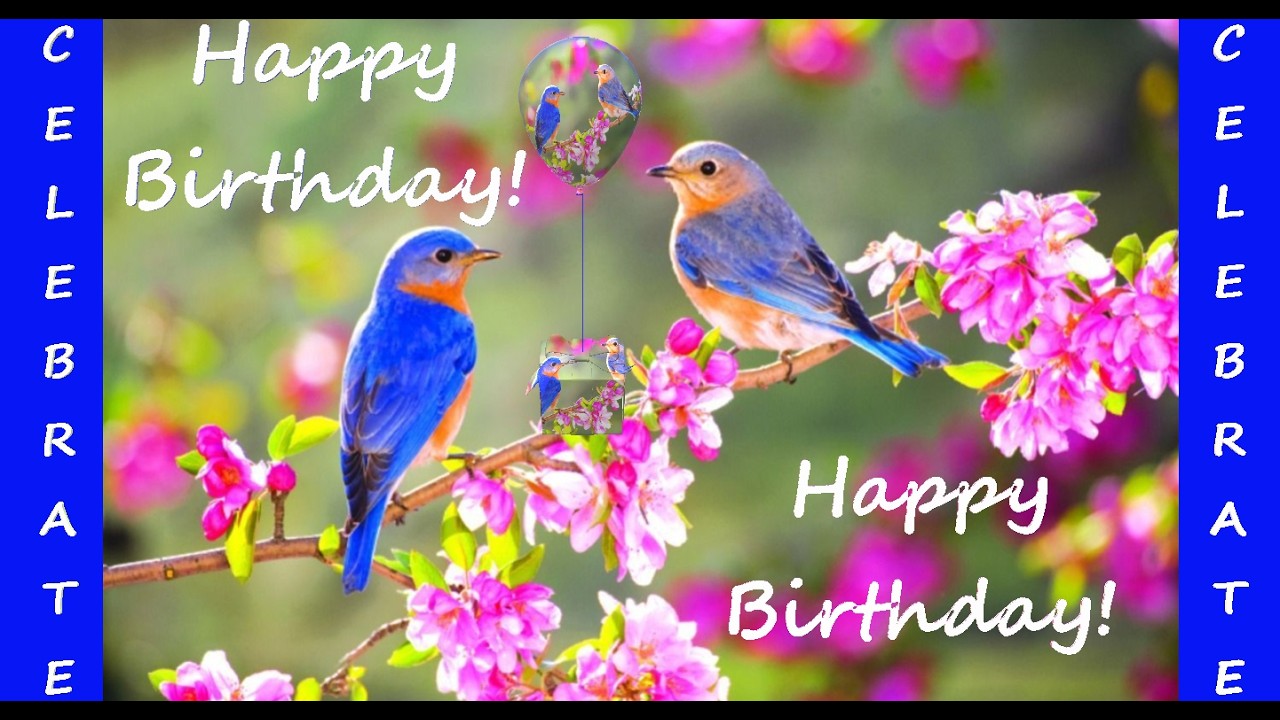 Happy Birthday 3D - Happy Birthday - Happy Birthday To You - Happy Birthday Song Video Card