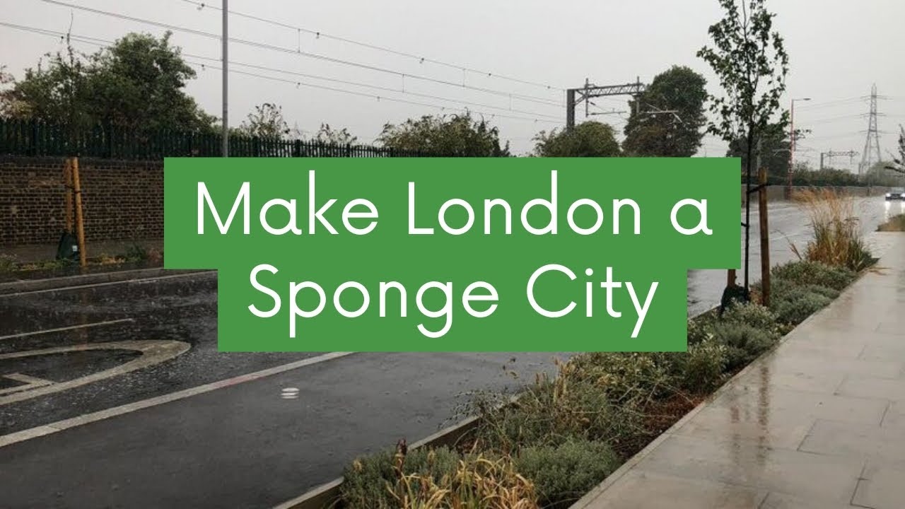 Sustainable Urban Drainage Systems - SUDS