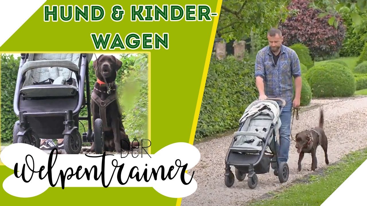 Neben dem Kinderwagen Gassi gehen: Worauf muss man achten? | Der Welpentrainer | sixx