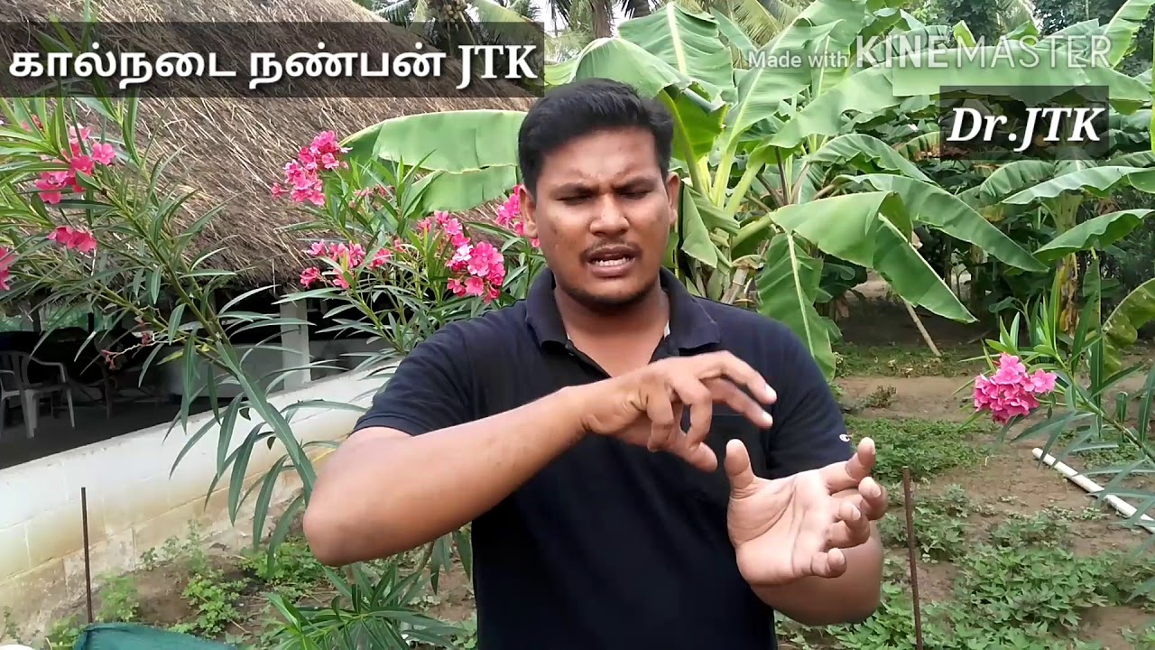 மாடு தீவனம் எடுக்கவில்லை என்ன காரணம்???????. நாம் என்ன செய்ய வேண்டும்