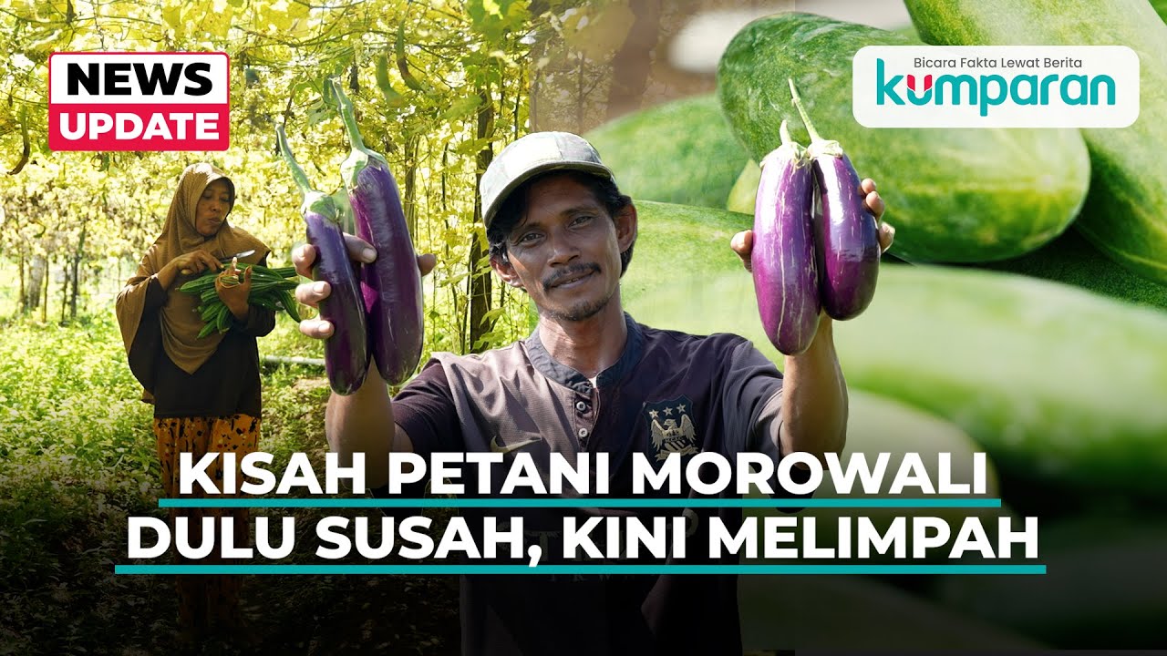 Transformasi Petani Sekitar Kawasan Industri Morowali Menuju Kemandirian Pangan