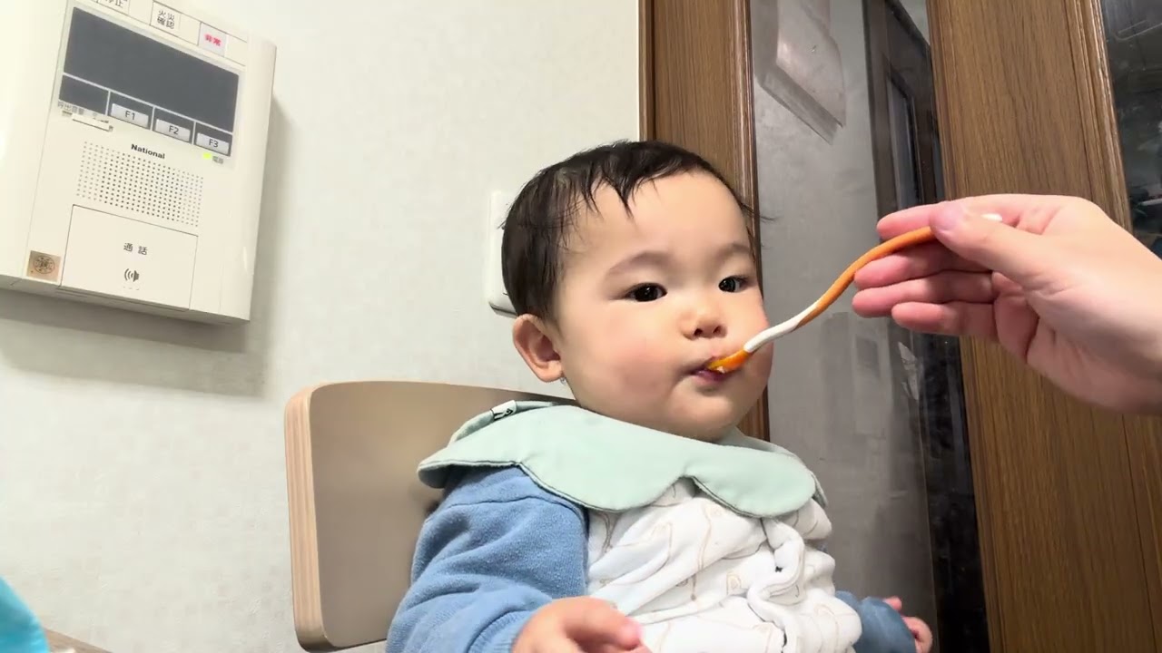 離乳食を食べる9ヶ月赤ちゃん（しらすうどん）