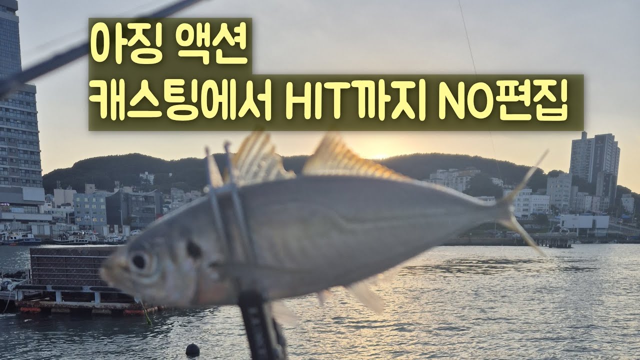 아징 액션,, 캐스팅에서 HIT까지 NO편집 영상... #아징 #fishing #낚시 #짬낚전갱이tv #부산낚시 #アジング #Ajing