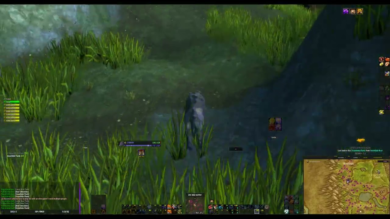 [33] Stonehide Rations | Grim Reaches (ID: 41735) - Turtle Wow Quest Database