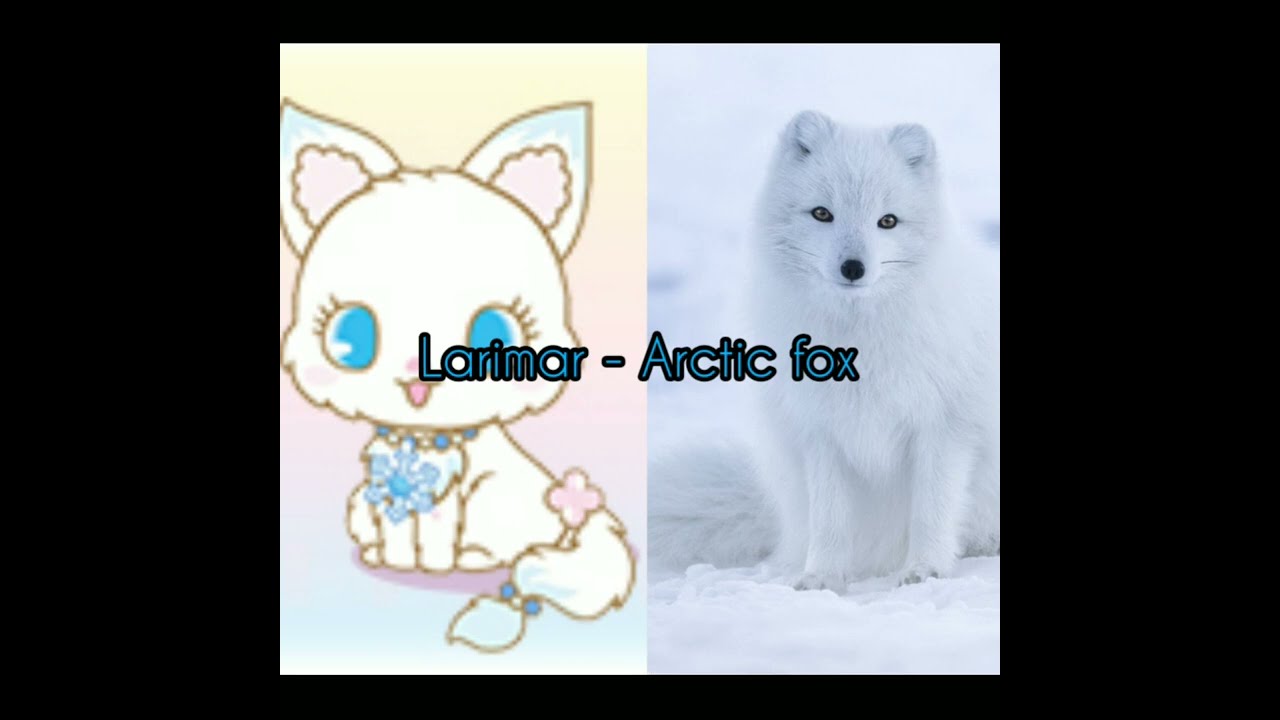 Jewelpet in real life.