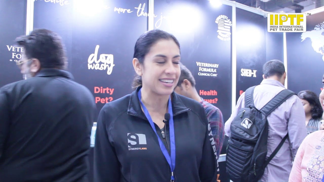 IIPTF 2019: What Our Exhibitors Said