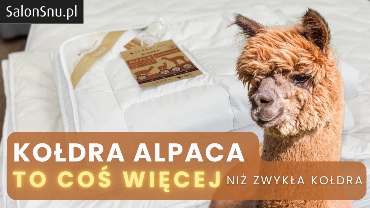 Kołdra całoroczna ALPACA | Czy warto ją kupić?