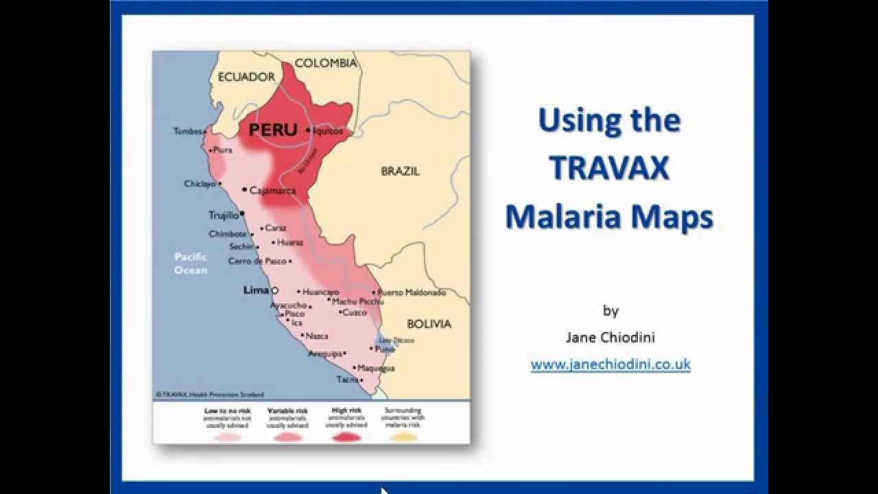 TRAVAX malaria maps