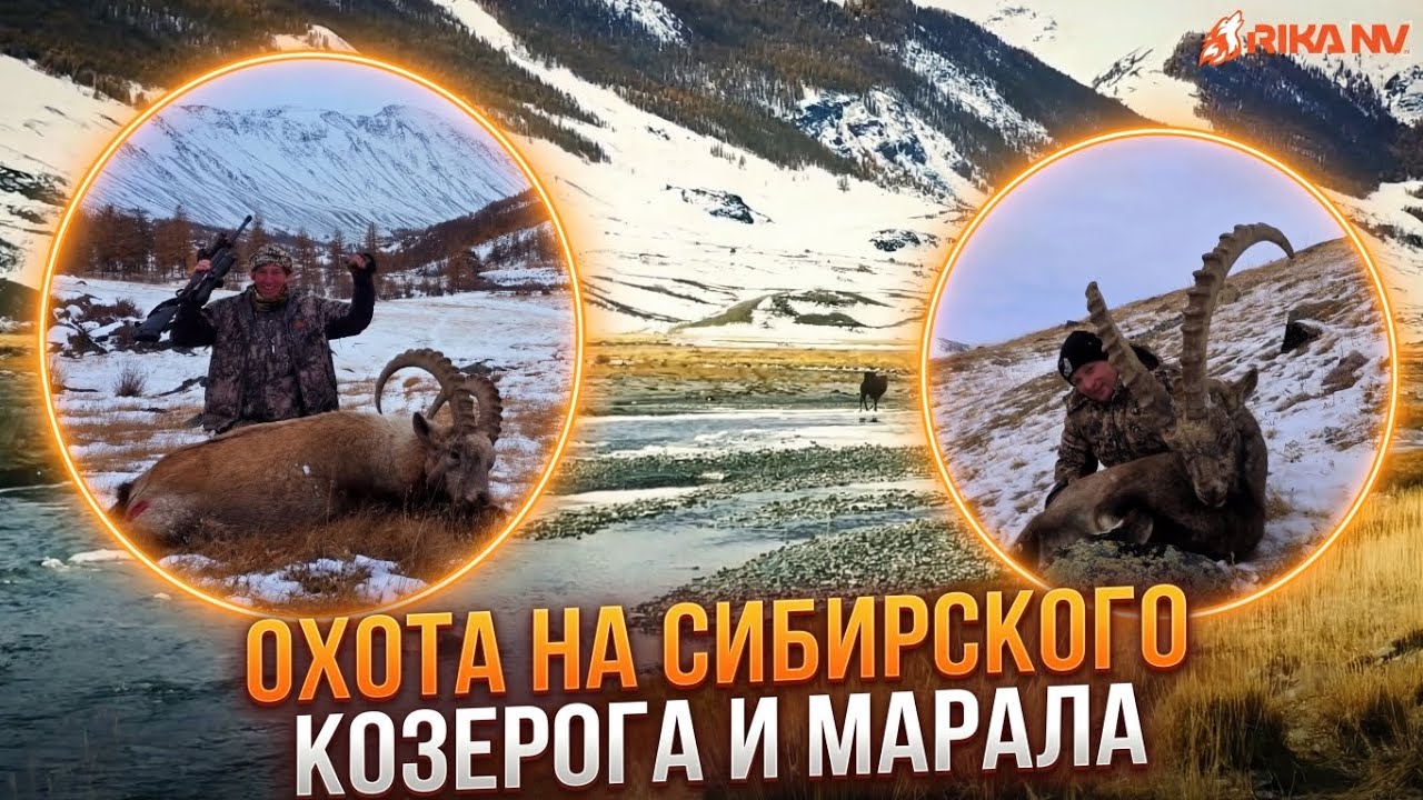 Охота на Сибирского Козерога!