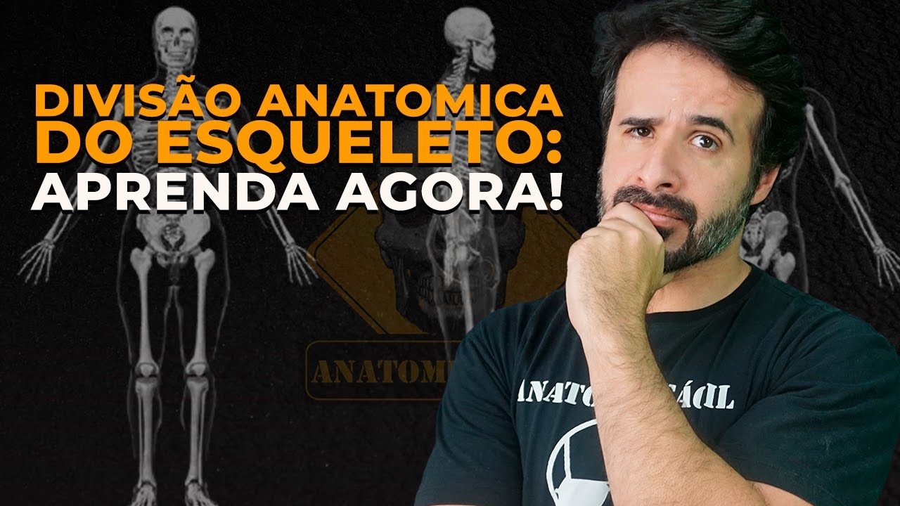 DIVISÕES ANATÔMICAS ESQUELETO: APRENDA AGORA E NUNCA MAIS SE ESQUEÇA!