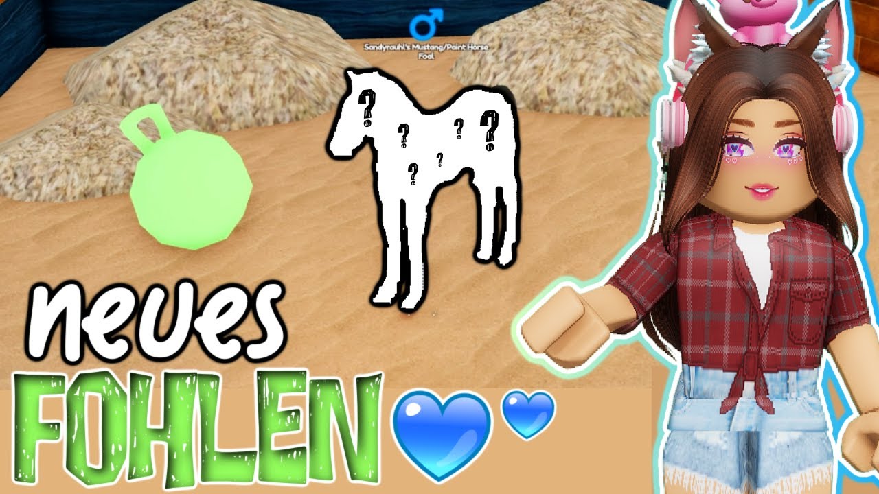 wir ZÜCHTEN ein 🅽🅴🆄🅴🆂 FOHLEN 💚🐴💙 Wild Horse Islands 🏝 Roblox DEUTSCH