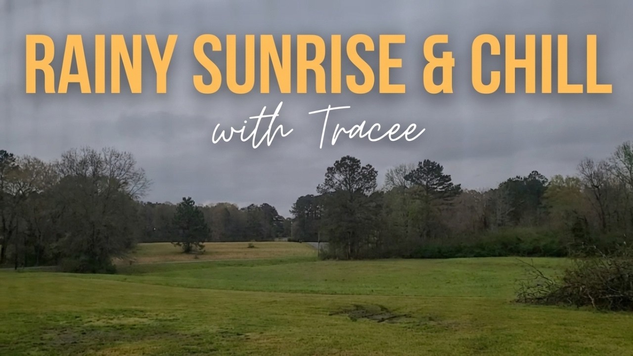 Tracee Loran is live! | Rainy Sunrise & Chill 🌧️ | Calm Morning Sounds + Real Time Vibes