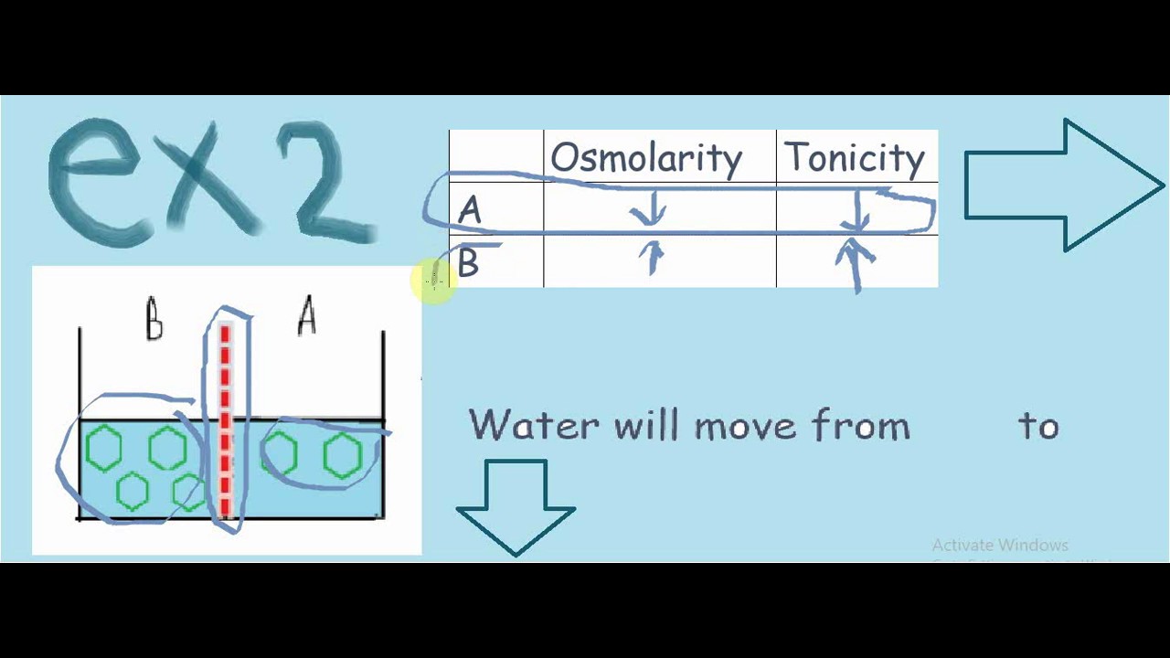osmolarity vs. tonicity ( شرح بالعربي )