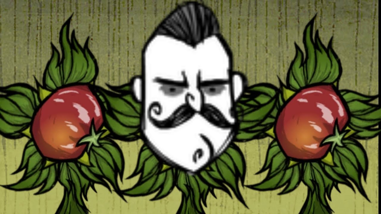Don't Starve Together Como cultivar (Básico)
