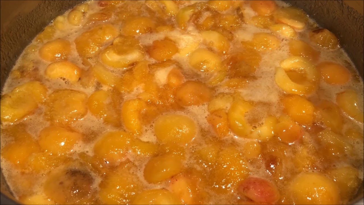 Confitura d'albercocs ( receptes bàsiques)