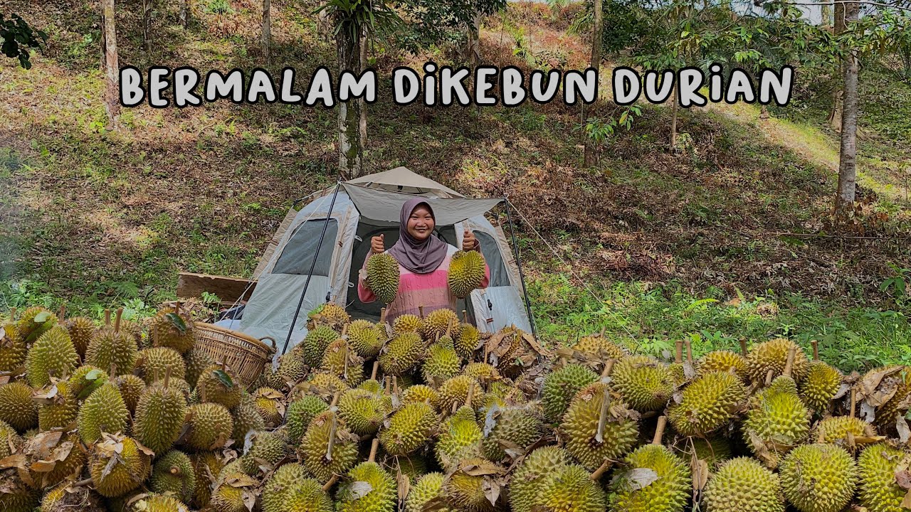 Bermalam Di Hutan Demi durian guys #adventure #minivlog #adayinmylife