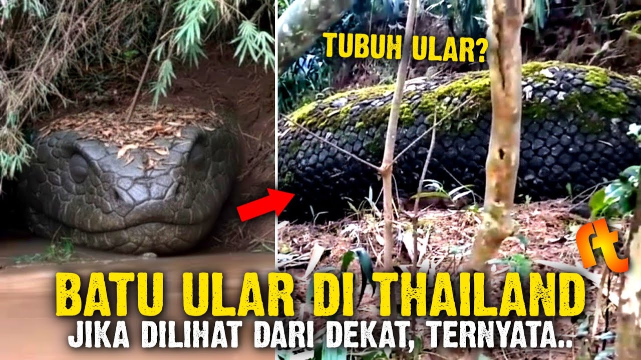 Melihat Dari Dekat Batu Ular ditepi Sungai Khek Noi Thailand, Tubuhnya Sangat Mirip Ular Raksasa