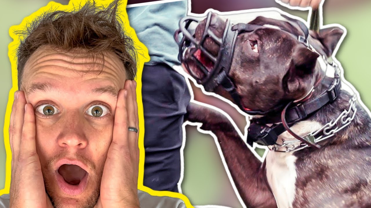 HE ALMOST BIT ME THROUGH THE MUZZLE! (SO CLOSE!)