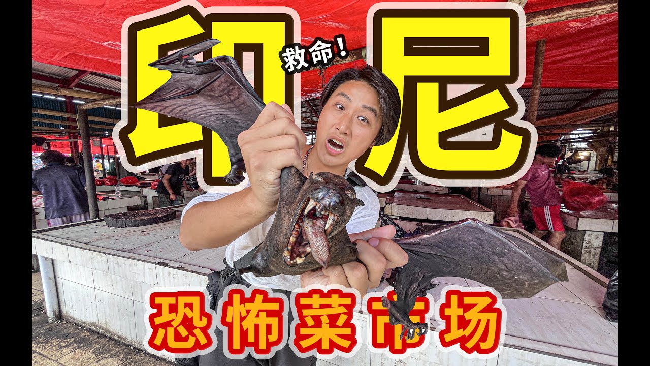 100塊在印尼「菜市場」，能買到什麼 ？🐍｜What can you buy with 100 rupees at an Indonesian 