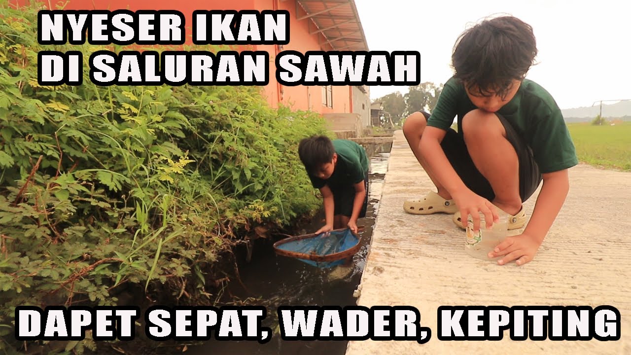 Nyeser Ikan ! Dapat nya Mister Crab 🦀🦀🦀