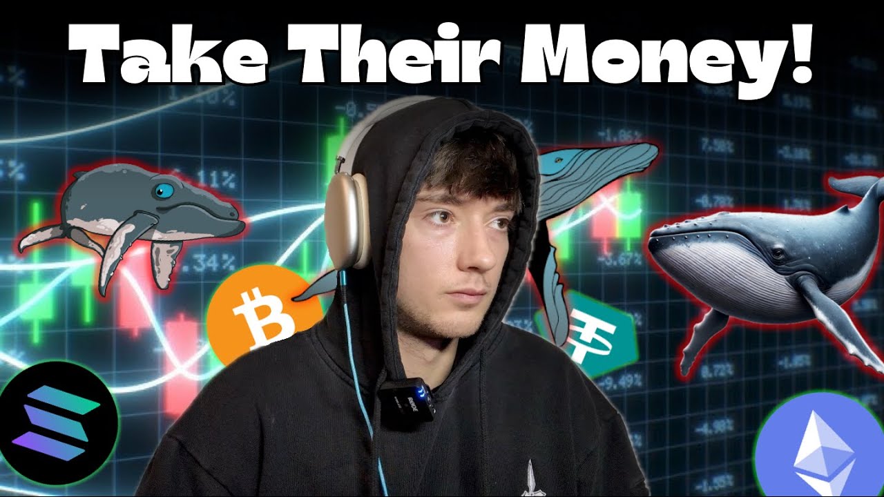 How to Track Crypto Whale Wallet Easily? Be Early for the Next 100x!