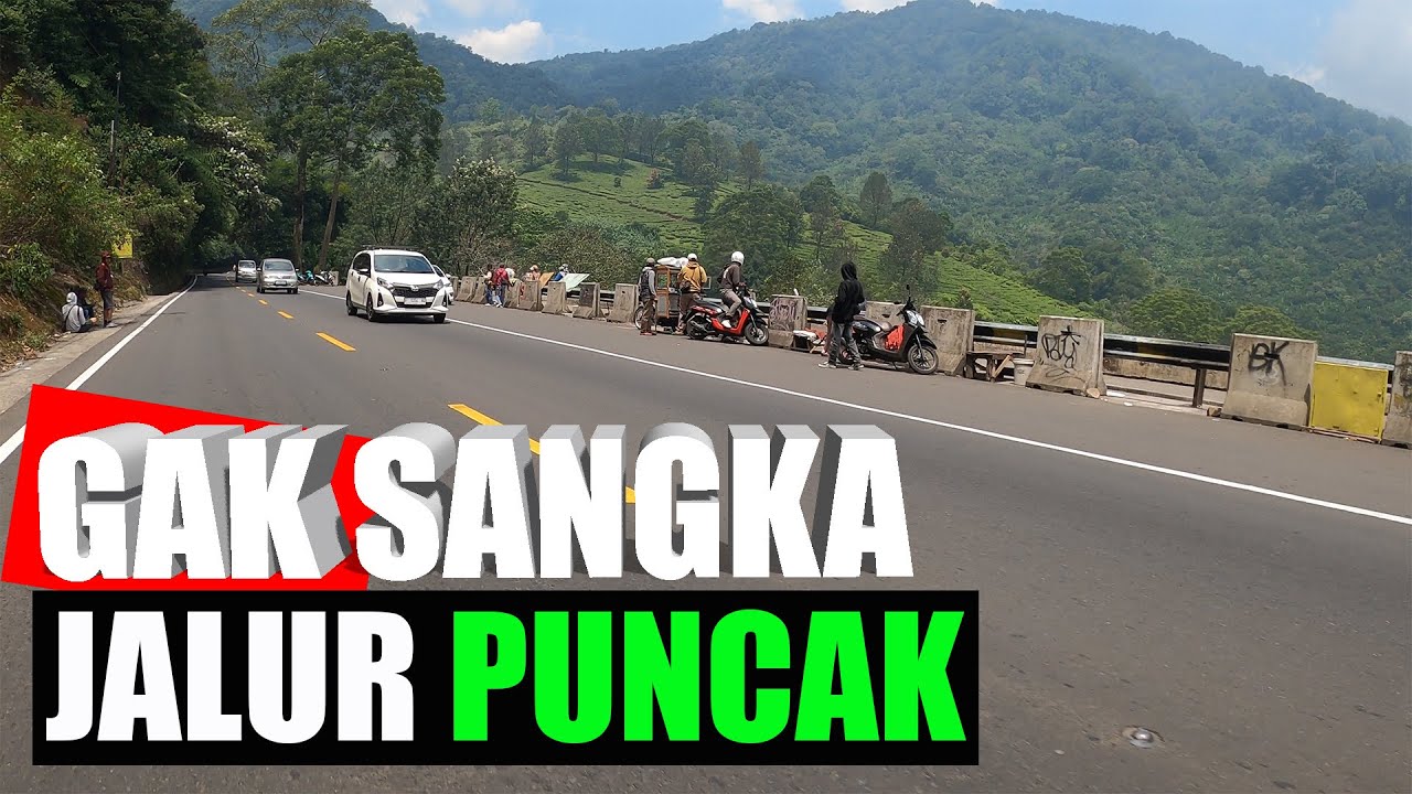 MUNCUL LAGI Bibit Bangli Jalur Puncak Bogor Jawa Barat #motovlog 