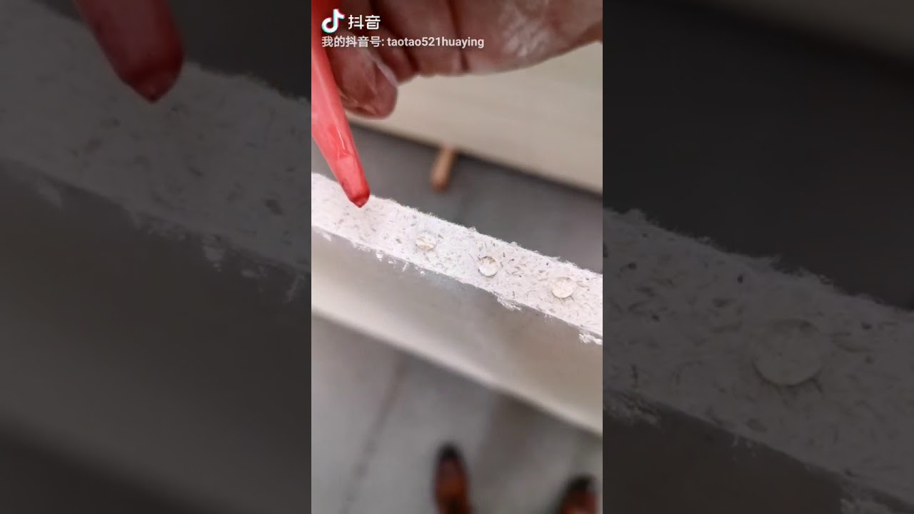 Pure High Quality Sulfate Magnesium Board Waterproof Test Video