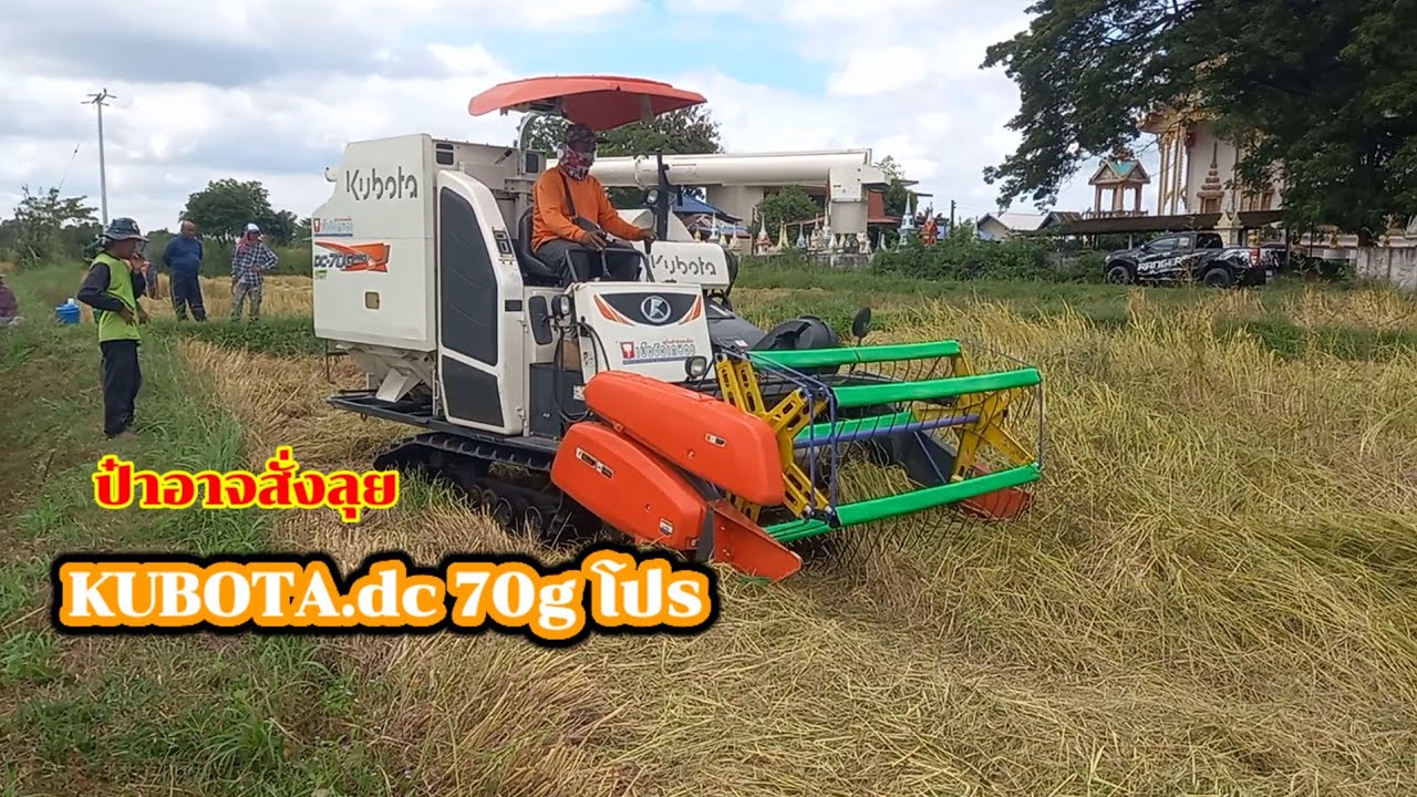รถเกี่ยวคูโบต้า DC 70 G โปร!! เกี่ยว ข้าวดอ 15 ทีมงาน ป๋าอาจสั่งลุย