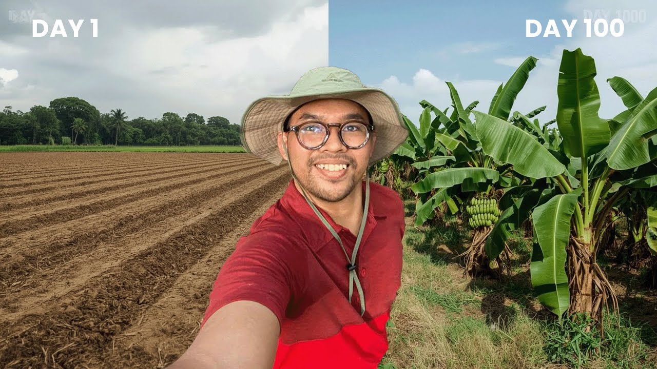 hari ke 100 rencana nanem 4000 pisang