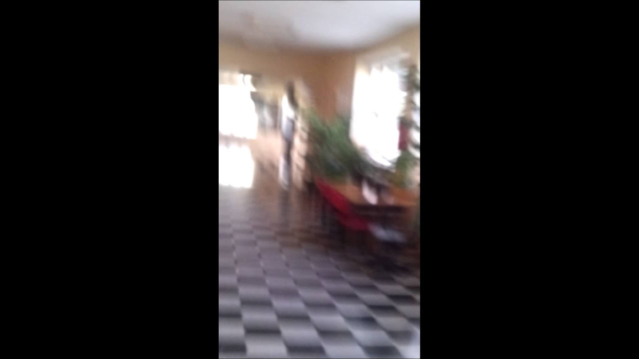 Suli Vidi
