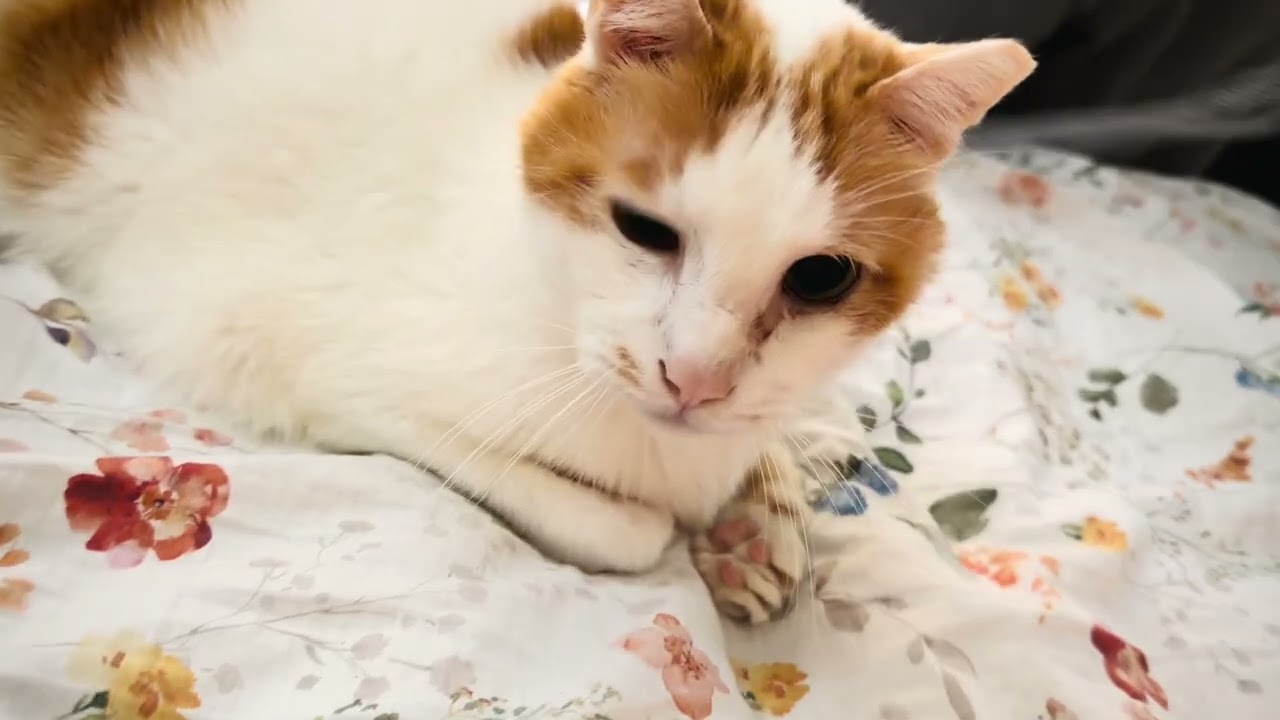 17-year-old Miao having fun